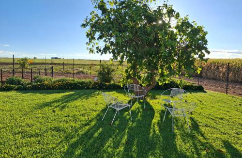 McGregor Private Nature Reserve Apartment | La Ford