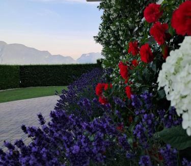 Tassullo Bed & Breakfast | Le Rocce Val di Non - Quality Room & Breakfast