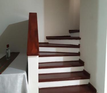 Ica House | Lily House