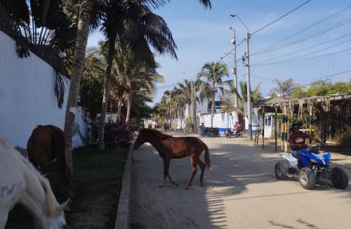 Mancora Hotel | Los Almendros de Máncora
