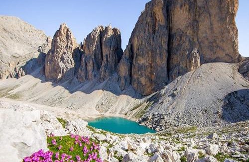Penia Apartment | Luxury Chalet Orchidea