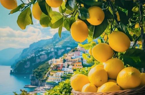 San Michele Apartment | Mamma Titina Holiday House, Amalfi Coast
