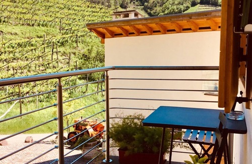 Cembra Other | Maso Besleri apartments in the vineyard with kitchen hall and terrace for events