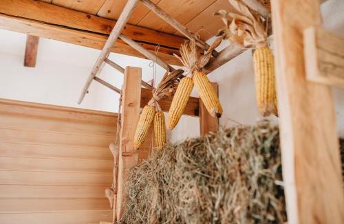 Sant'Orsola Terme Ski Chalet | Maso Del Fieno con Sauna Privata e Vista Unica