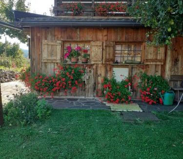 Cavalese Apartment | Maso Pinterato
