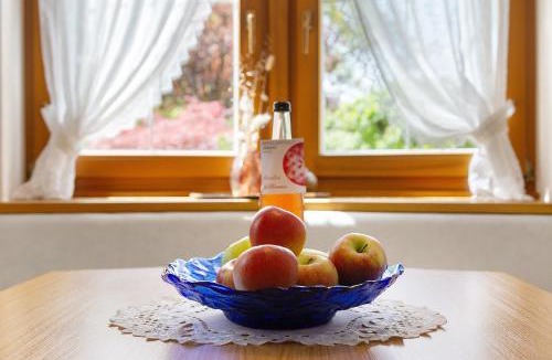 Plaus Apartment | Mayr Apartments Eins