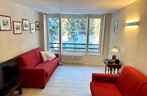 Campo Carlo Magno Apartment | Monolocale Cristallo 20 - Serafini