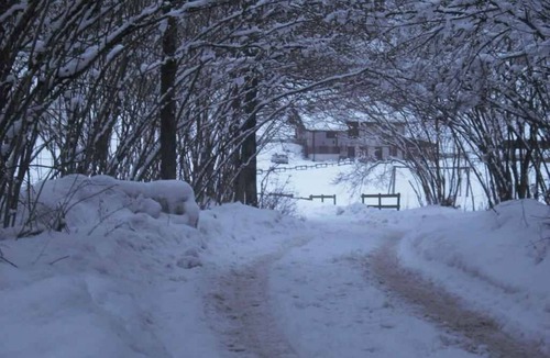 Concei Cottage | Montain hut with 20,000 square meters of land