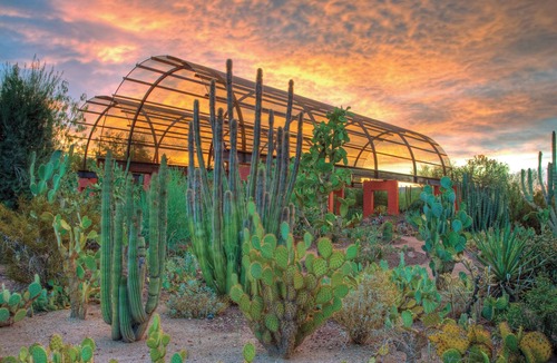 Thunderbird Desert Estates Apartment | *New Listing* Itty Bitty Inn #4~Horse Friendly~BBQ