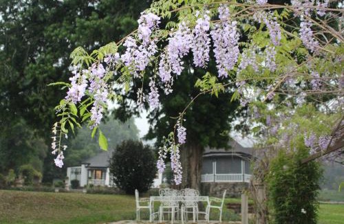 Curry's Post House | Newstead Farm - Country Cottages