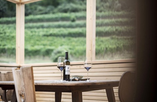 Terlano Apartment | Noble loft in the vineyards