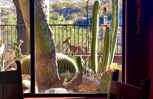 El Conquistador House | Oro Valley Getaway w/Patio, BBQ & Mountain Views!