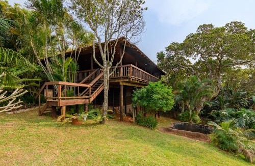 Palm Beach House | Palm Beach House- Up in the trees