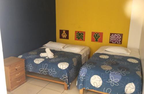 Pisco Hostel | Paracas Backpackers House