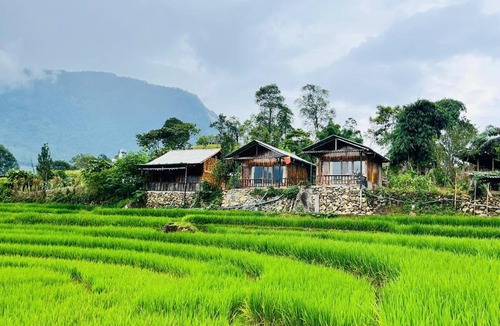 Sa Pa Apartment | Peaceful Happiness Bungalow with Valley Views