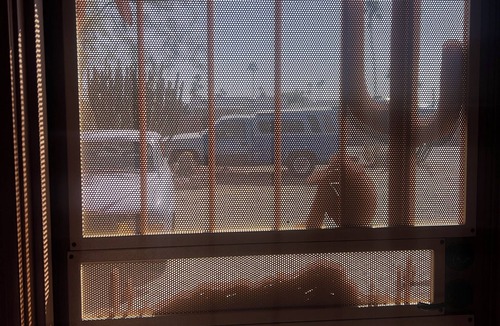East Mesa Cottage | Peaceful Private 1-bedroom Casita in Mesa. AC, W&D, Private Parking & more!