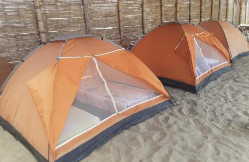 Mancora Other | Pepon Surf Camp