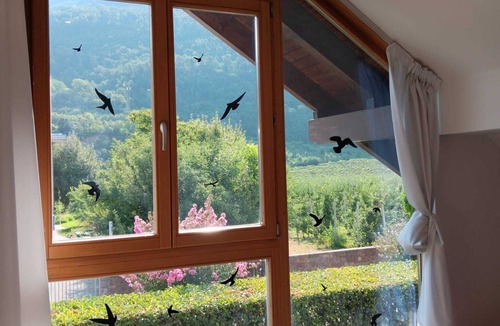 San Michele All'adige Apartment | Pet Friendly Sally House