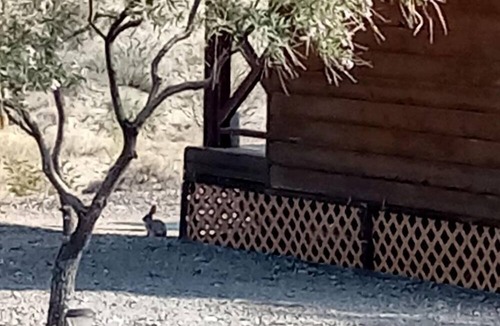 Meadview Cabin | Pet Friendly Glamping Cabin, Ideal to Discover Lake Mead National Recreation Area