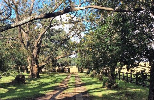 Vryheid House | Petra's Country Guesthouse