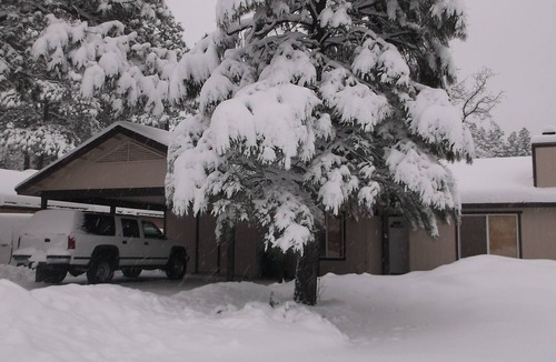 Pinetop Cabin | Pinetop Cabin 3 Bed-2 Bath, Fireplace, Fenced Yard- 45 Min From Sunrise Ski Area