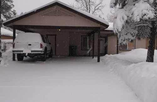Pinetop Cabin | Pinetop Cabin 3 Bed-2 Bath, Fireplace, Fenced Yard- 45 Min From Sunrise Ski Area