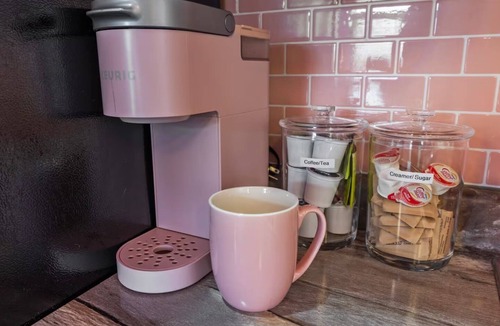 Shaw Apartment | Pink Cloud Retreat Chic 1BR Near Tower Grove