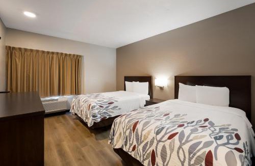 Cortaro Hotel | Red Roof Inn Tucson North - Marana