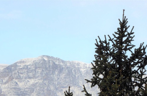 Trento Apartment | RENOVATED. MOUNTAIN VIEW. Hospital and Gocciadoro park area (1-6 people