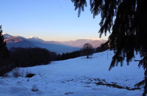 Polsa Apartment | Residenza il bosco