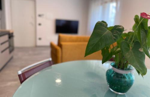 Lavis House | Rey Residence