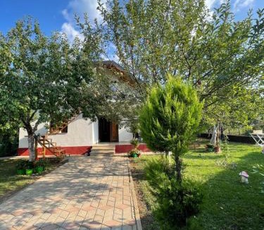 Puke House | Riza Guest House