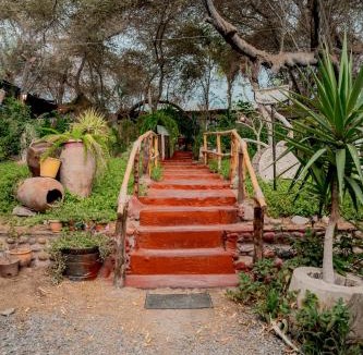 Huacachina Hotel | Rochabus