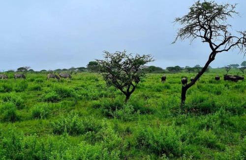 The Msunduzi Apartment | Rocky Valley Game Lodge
