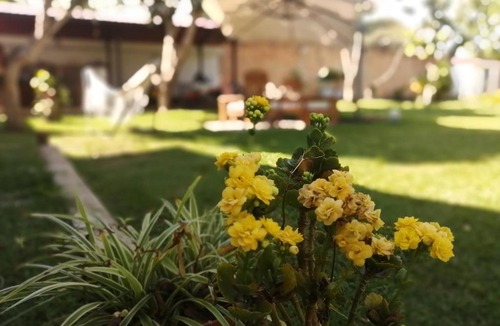 Tarapoto House | SANANGO GARDEN