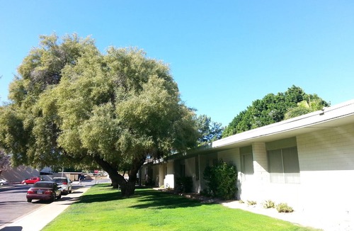 Heatherbrae House Condo | Scottsdale Affordable Affluence in fantastic location