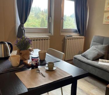 Passo del Tonale Apartment | Ski Apartment