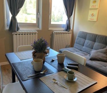 Passo del Tonale Apartment | Ski Apartment
