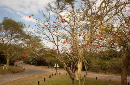 Sodwana Bay House | Sodwana Bay Lodge House 58