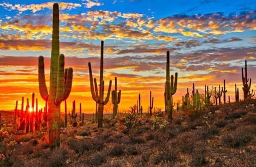 Continental Ranch House | Sonesta Tucson