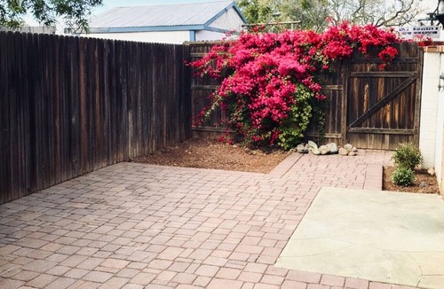Blenman-Elm House | Sonoran Retreat - WALK to UofA & Arizona Inn! 2 BR & Bonus; Parking!