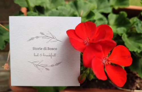 Villa Lagarina Bed & Breakfast | Storie di bosco