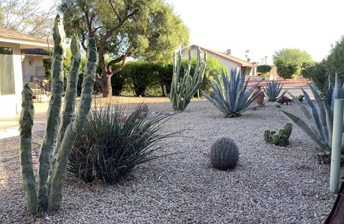 Sun City West House | Sunny, SUN CITY WEST ~ FURNISHED, PD UTLS, 4 + 5 or more MONTH'S RENTAL only!