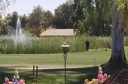 Paradise Valley Village Resort | The Orange Tree Resort includes an 18-hole, PGA-rated golf course renowned n
