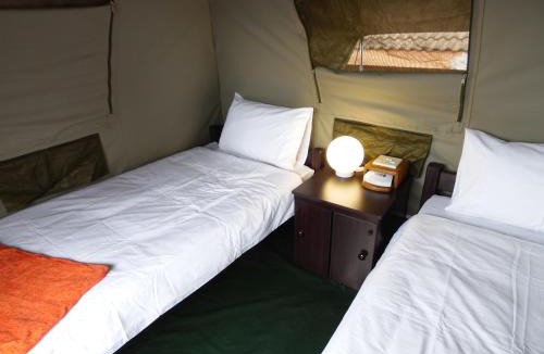 St. Lucia Hostel | The Tree Top Village Urban Glamping