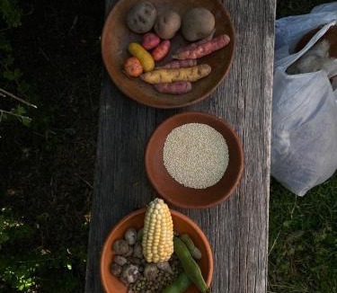 Ocosuyo Cabin | Titicaca Lodge Amantani