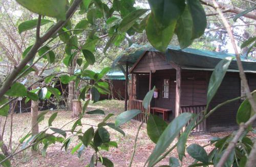Mbazwana Cabin | Toad Tree Cabins