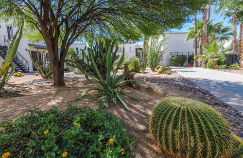 Tucson Condo | Tucson 1bd/1ba Condo 10 Minutes to Saguaro Park East Near Shops Dining Biking