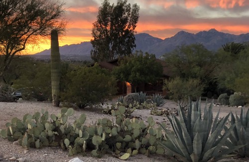 Houghton House | Tucson Gem in the Heart of the Desert