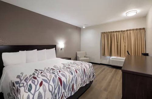 Cortaro Hotel | Unwind After the Road in Clean, Pet-Friendly Room Near Key Tucson Sites